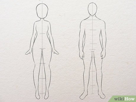 v4-460px-Learn-Anatomy-for-Drawing-Step-9